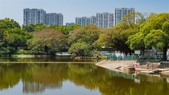 屯門公園是新界主要公園之一，為市區提供廣闊平靜的休憩空間。園內的樹木和池塘，為居民提供怡人的景觀。